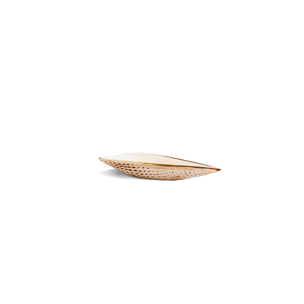 Dipping Shell Set (6)