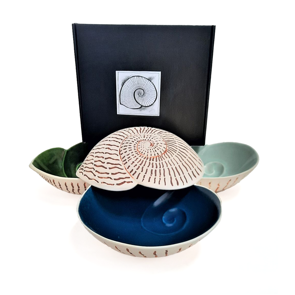 Nautilus Shell Bowl