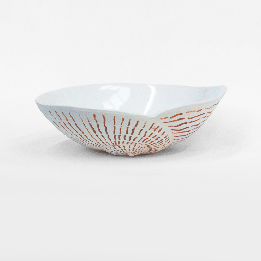 Nautilus Shell Bowl