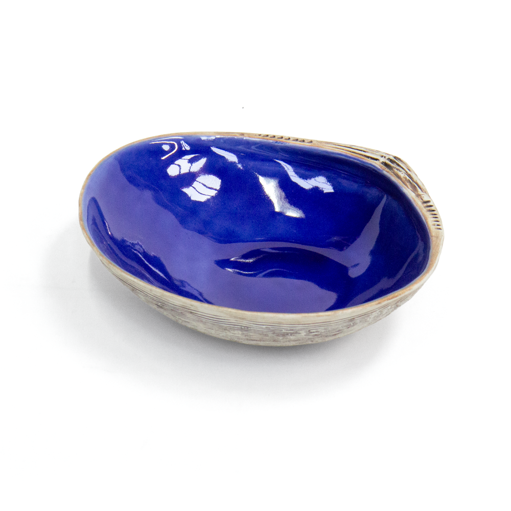 Pipi Shell Bowl