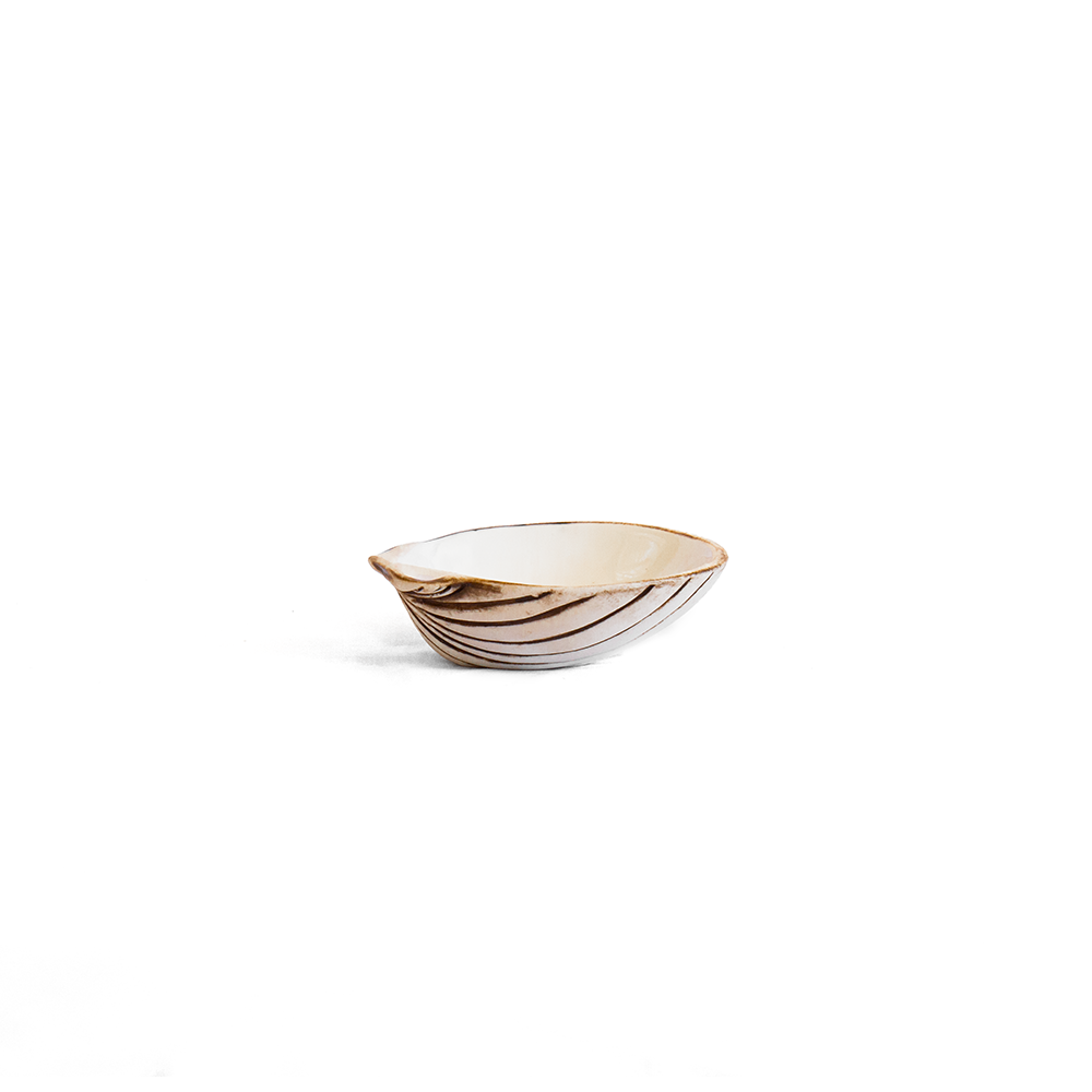 Dipping Shell Set (6)