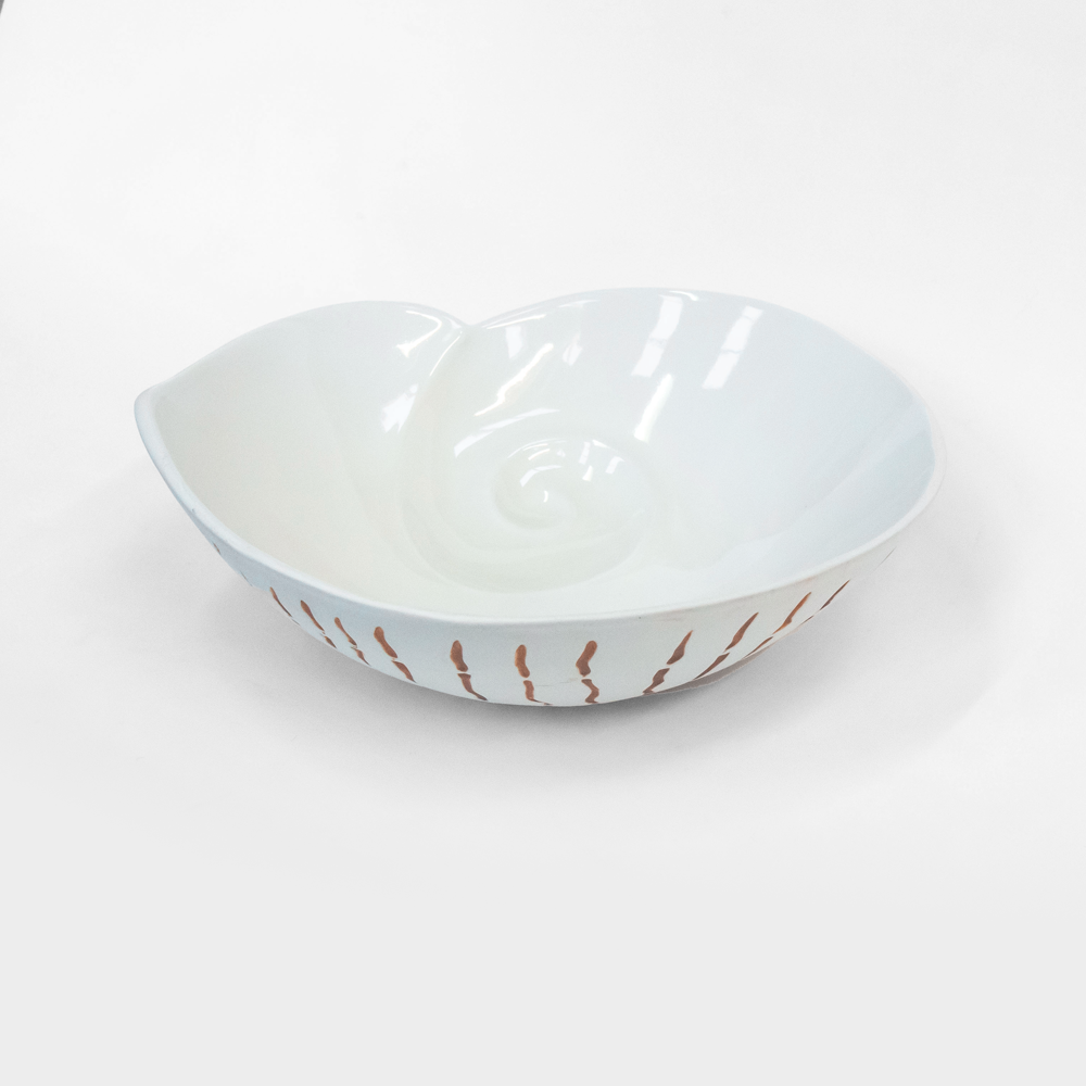 Nautilus Shell Bowl