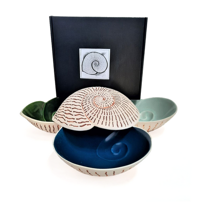 Nautilus Shell Bowl