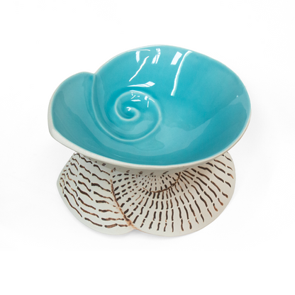 Nautilus Shell Bowl